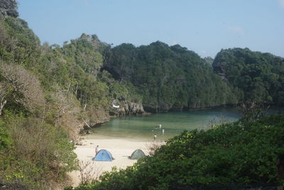 Scenic view of river amidst trees against sky