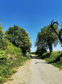 Road amidst trees against clear blue sky