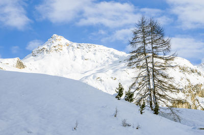 Scenic view of snow covered mountain against sky