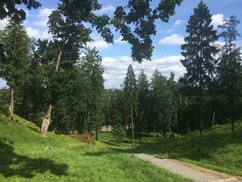 Trees on field against sky