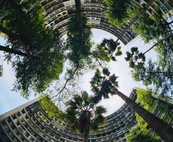 Low angle view of trees and building against sky