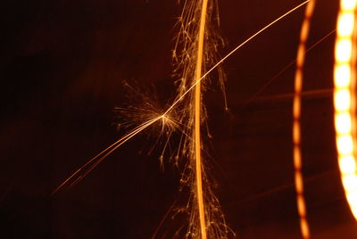 Low angle view of fireworks against sky at night