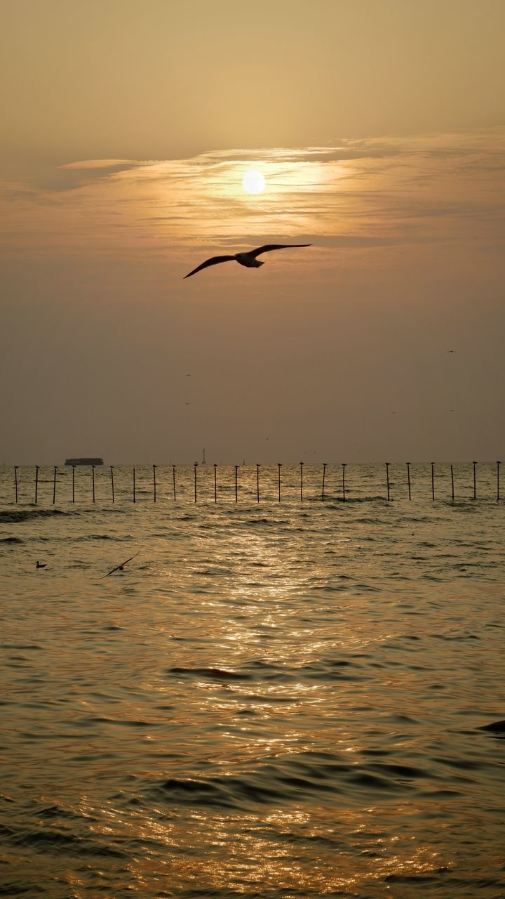 BIRD FLYING OVER SEA AGAINST SKY DURING SUNSET