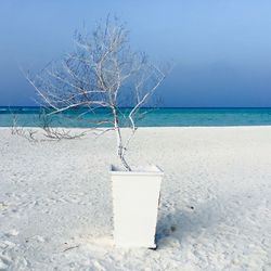 Scenic view of sea against blue sky