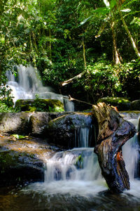 Scenic view of waterfall in forest