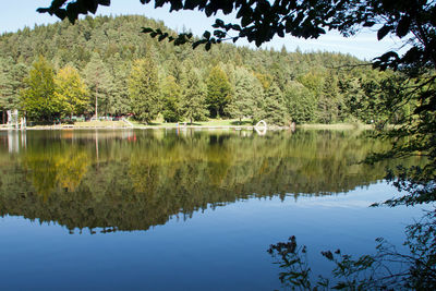 Scenic view of lake in forest against sky