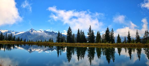 Panoramic view of lake and trees against sky