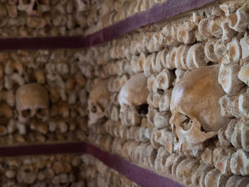 Close-up of human skull on wall of building