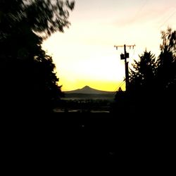 Silhouette trees against sky during sunset