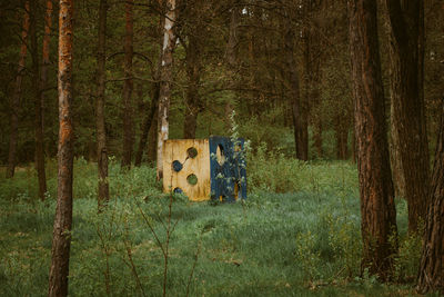 Graffiti on tree trunk in forest