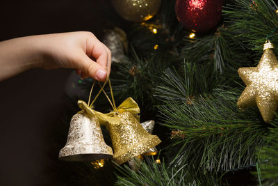 Close-up of hand holding christmas tree