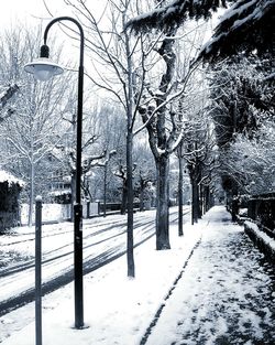 Road passing through snow covered landscape