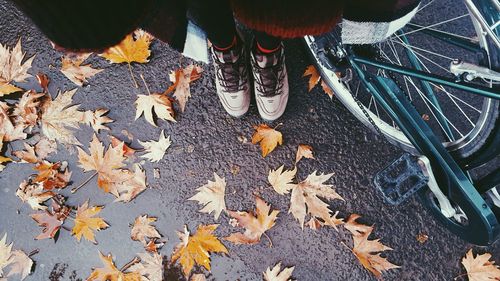 Low section of person standing on dry leaves