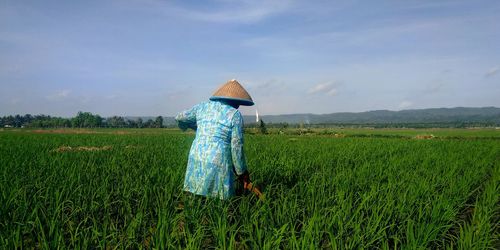 Farmers in the fields