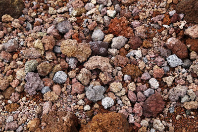 Close-up of rocks on land