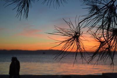 Close-up of silhouette tree against sea at sunset