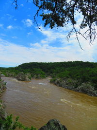 Scenic view of river amidst trees against sky