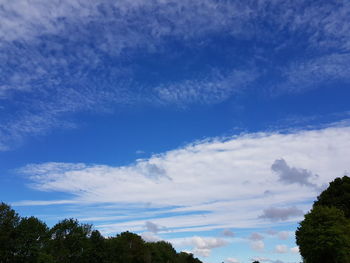 Low angle view of trees against blue sky