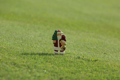 Close-up of santa claus figurine on grassy field