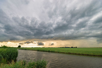 Scenic view of field against sky