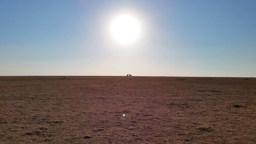 Scenic view of desert against clear sky