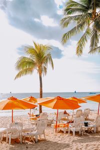 Palm trees on beach against sky