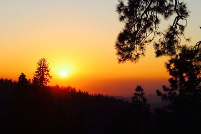 Silhouette trees against sky during sunset