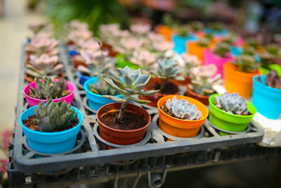Close-up of various food on table