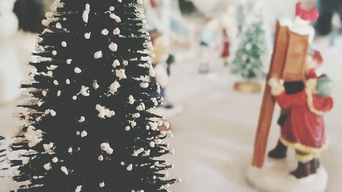 Close-up of christmas tree