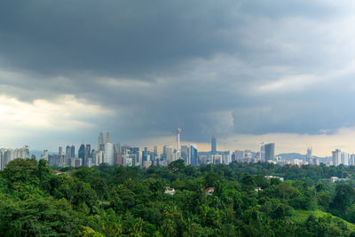 Trees and buildings in city against sky