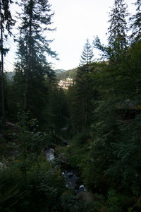 Scenic view of waterfall in forest against clear sky