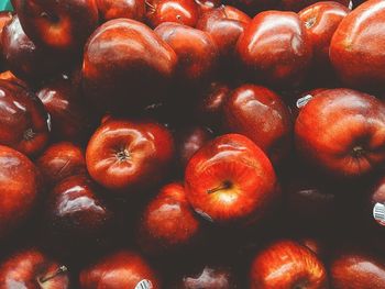 Full frame shot of tomatoes