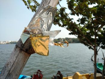 Close-up of clothes hanging on tree by sea