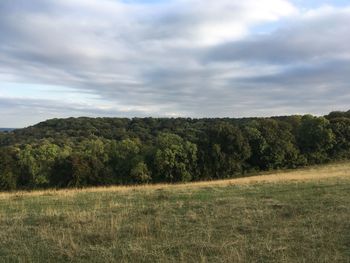 Scenic view of trees on field against sky