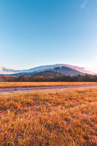 Scenic view of field against clear blue sky