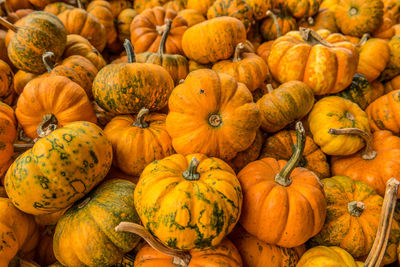 Full frame shot of pumpkins in market