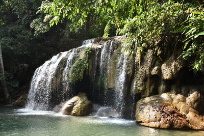 Scenic view of waterfall in forest