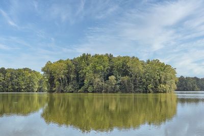 Trees by lake against sky