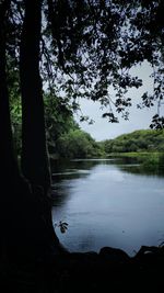 Scenic view of lake in forest against sky