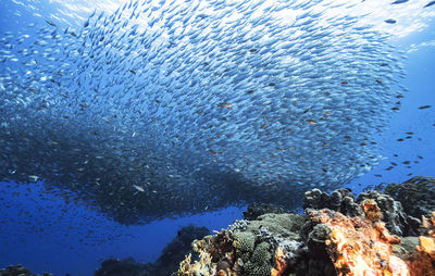 Full frame shot of sea