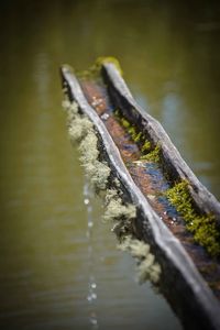 Close-up of water flowing