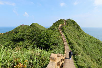 Rear view of people on mountain by sea against sky