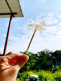 Midsection of person holding plant against sky