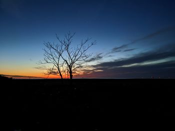 Silhouette bare tree against sky during sunset