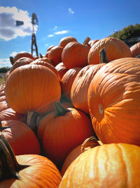 Close-up of pumpkins for sale