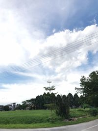 Low angle view of trees on landscape against sky