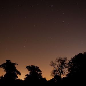 Low angle view of star field against star field