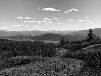 Scenic view of landscape against sky