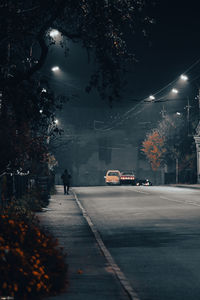 Street amidst illuminated trees in city at night