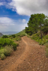 Dirt road amidst plants and trees against sky